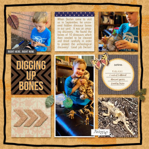 Digging Up Bones