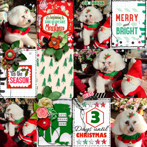 3 Days Until Christmas
