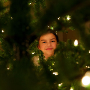 Claire-tree