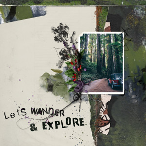 Wander & Explore