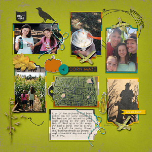 Corn Maze