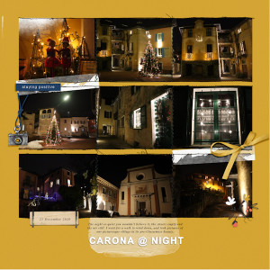 201221_Carona