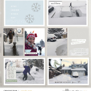 Winter Stories | Sahlin Studio