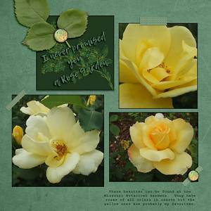 Day-8_One-color_flowersgal_web