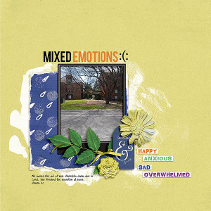 Mixed Emotions Moc Jan 1