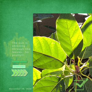 MOC 9 Jan 08 7x7 72