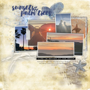 Sunsets And Palm Trees