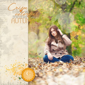 Autumn_Bokeh_MOC9