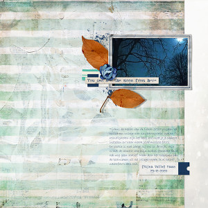 The Moon