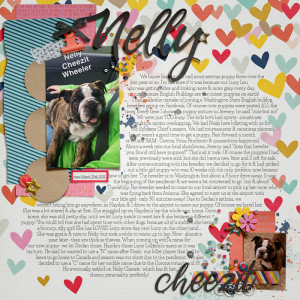 Nelly Cheezit MOC11