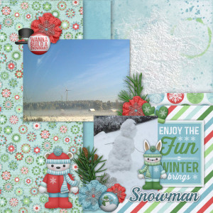 Enjoy The Winter