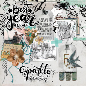 210115_sparkle Cat