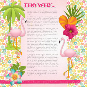 The Why...