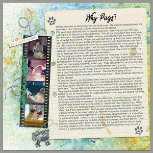 Why-pugs