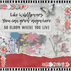 Like Wildflowers