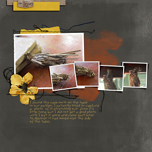 MOC9_Day18_Combine Two Templates_Case Moth