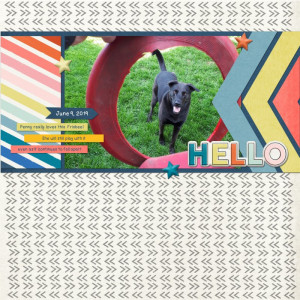 January 19 - Create A Stamped Background