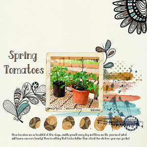 Spring Tomatoes MOC Day 16