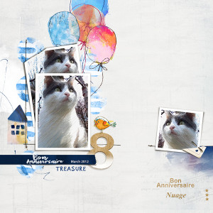 January-21-Birthday-Challenge