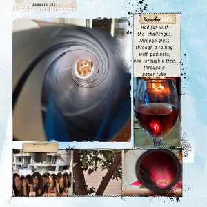 LEAP-challenge-page