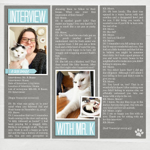 Interview With Mr. K
