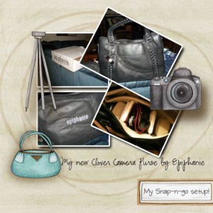 camera purse