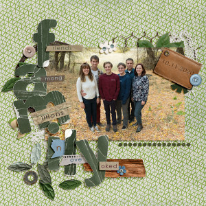 MOC 9: #17 Friends Yoked