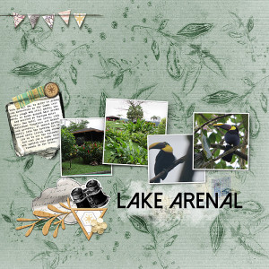 Lake Arenal - MOC #19