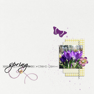spring