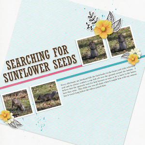 TLP_Day-25_At-an-Angle_Sunflower-Seeds revised