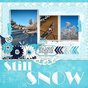 Still Snow MOC Jan 26