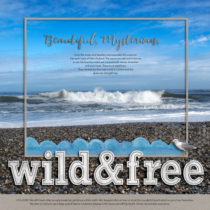 Wild and Free