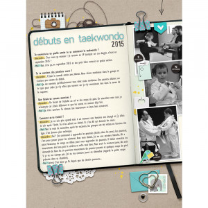 Debut en taekwondo 2015 | MOC jour 23