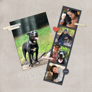 MOC 25 Pics With Bella