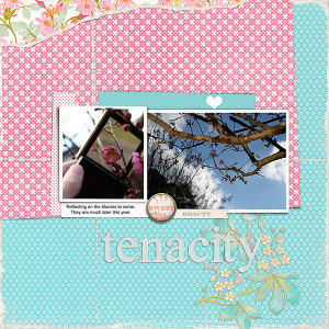 Tenacity MOC Jan 13