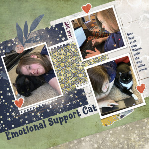 MOC 25 Emotional Support Cat