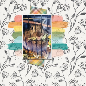 January 28: Paper and Paint