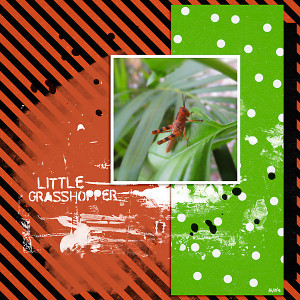 MOC9_Day28_Paper and Paint_Little Grasshopper