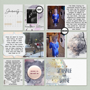 January 16 - 20 - Pocket Pages