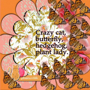 February Scraplift Challenge