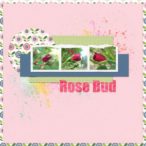 TLP_Scraplift_Rose-Bud