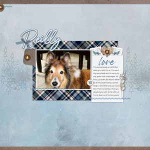 Reilly at Thirteen