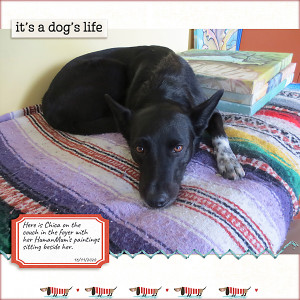 LOD_ForeveryJoy_Its-a-Dogs-Life
