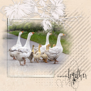 FamilyStory