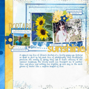 Portable-Sunshine