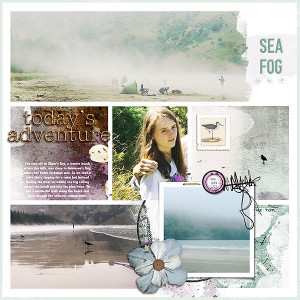 Sea Fog