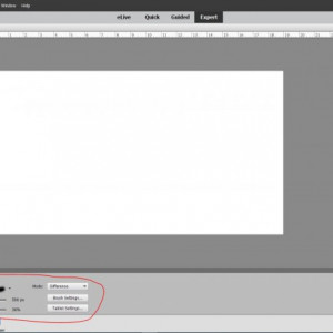 PSE Brush 1