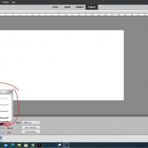 PSE Brush 2