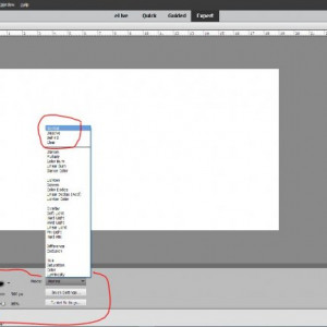 PSE Brush 4