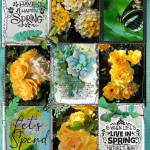 Spring Flowers